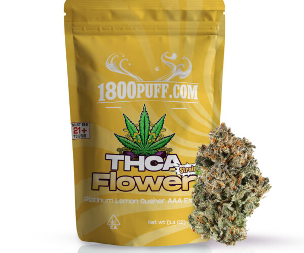 Platinum-Lemon-Gusher-AAA-Exotic